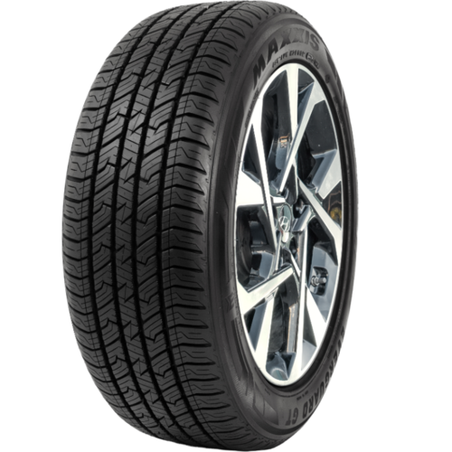 Maxxis Everguard Ergt tyre